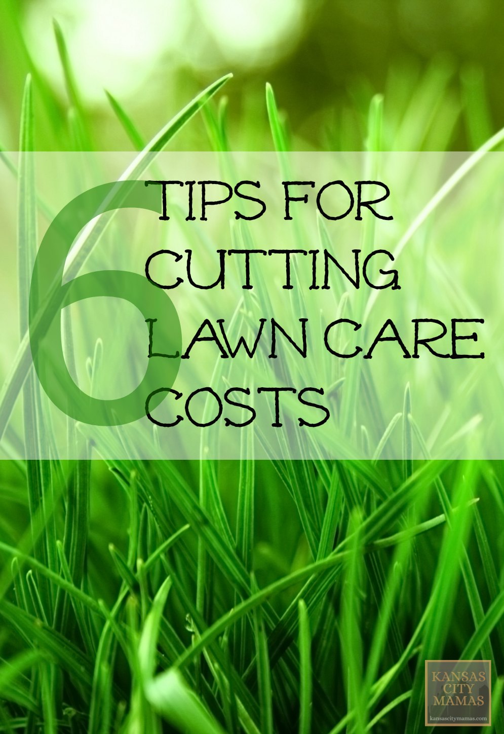 6 Tips For Cutting Lawn Care Costs