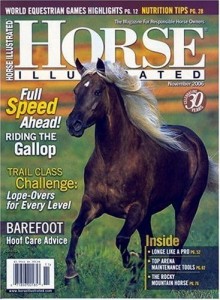 Horse-Illustrated-2